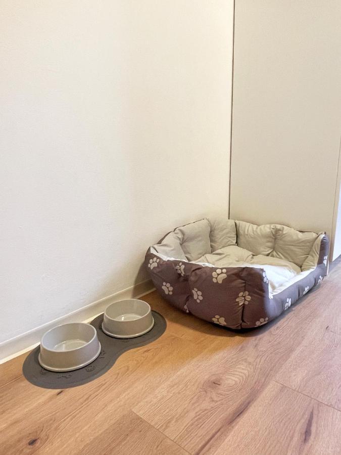 Moderne Studio Apartments In Nuernberg エクステリア 写真